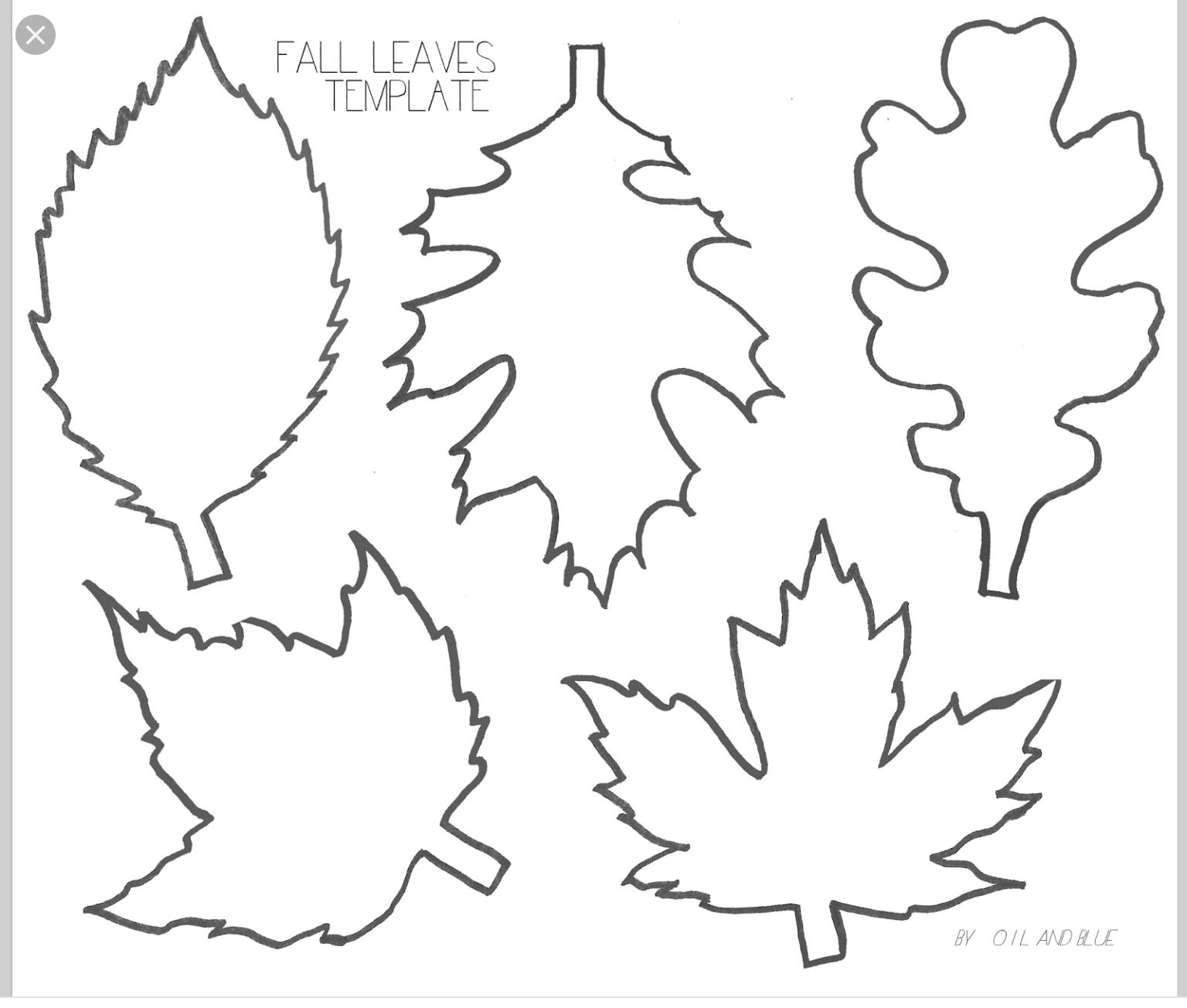 001 Template Ideas Free Printable Leaf ~ Ulyssesroom - Free Printable Leaves