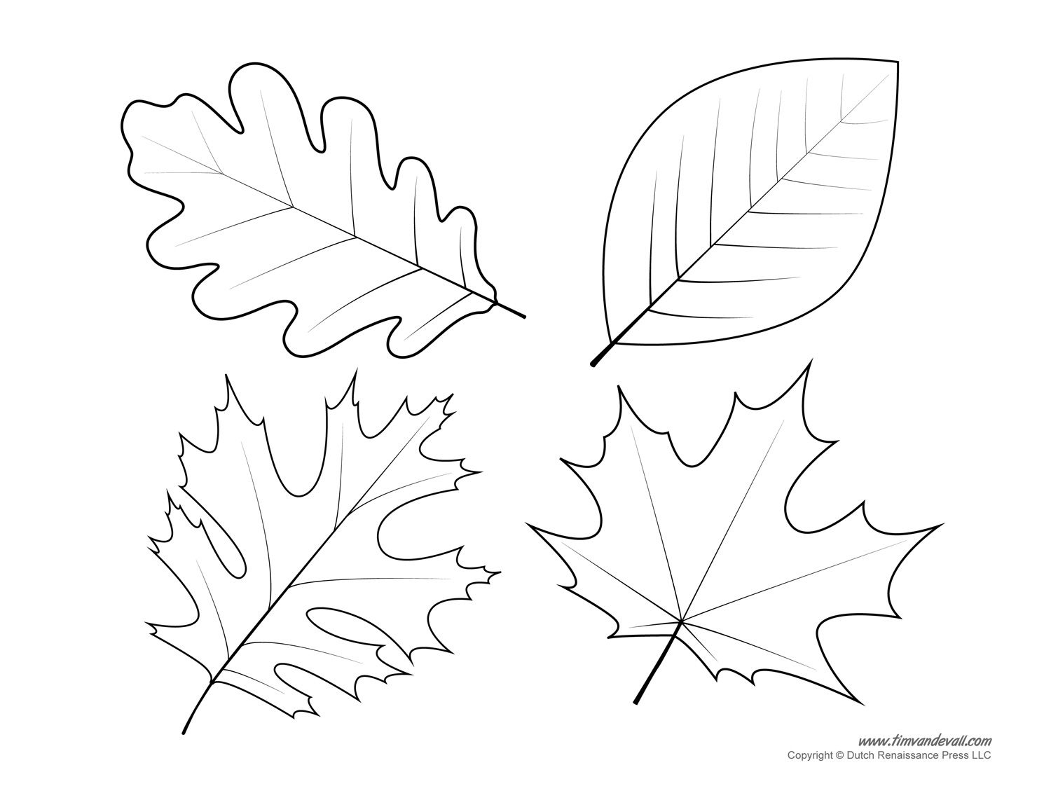 002 Free Printable Leaf Template ~ Ulyssesroom - Free Printable Leaves