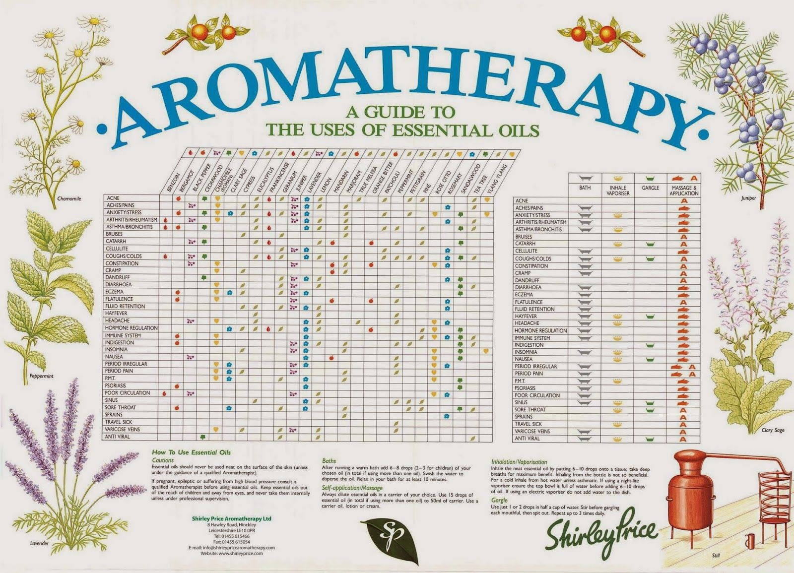 20. Reference Guide Essential Oils And Blends Quick Usage Chart 25 - Free Printable Aromatherapy Charts