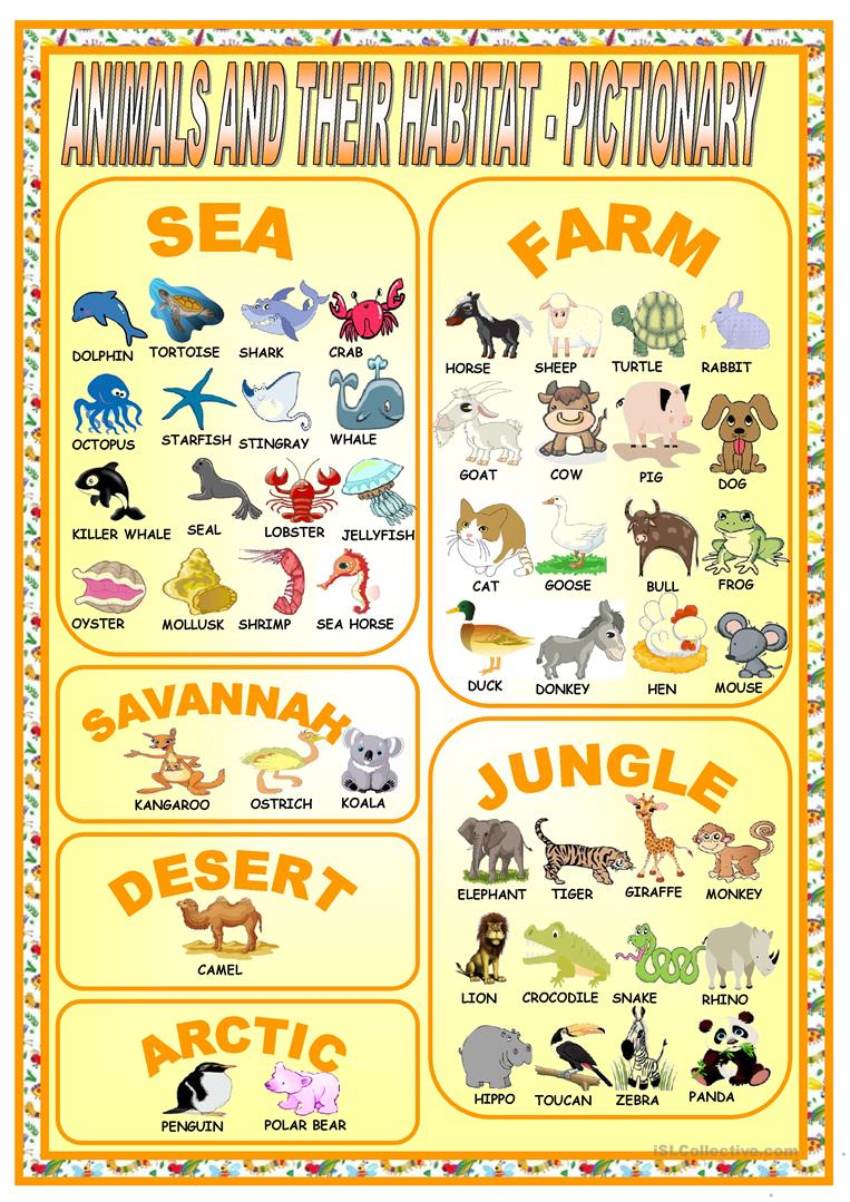 26 Free Esl Habitat Worksheets - Free Printable Worksheets Animal Habitats