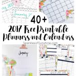 40+ Awesome Free Printable 2017 Calendars And Planners   Sparkles Of   Free 2018 Planner Printable