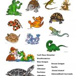 5 Free Esl Reptiles Worksheets   Free Printable Reptile Worksheets
