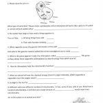 9Th Grade Science Worksheets Worksheets 10Th Grade Biology   9Th Grade Science Worksheets Free Printable