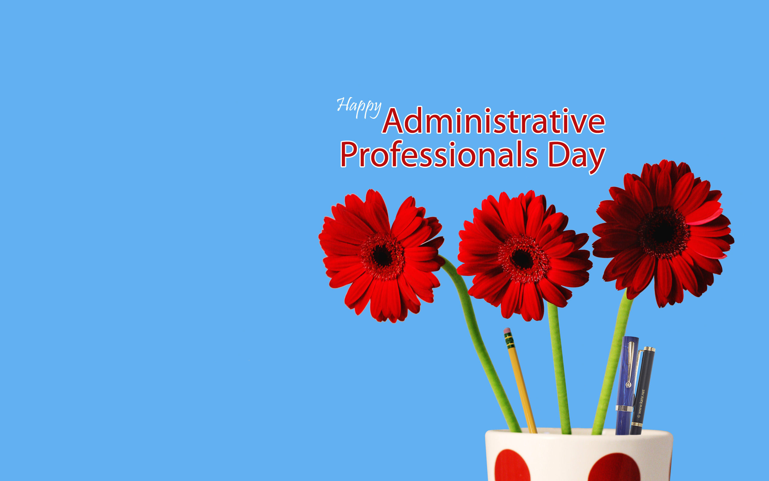 Administrative Professionals Day Wallpaperkate - Administrative Professionals Cards Printable Free
