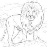 African Lion Coloring Page | Free Printable Coloring Pages   Free Printable Picture Of A Lion