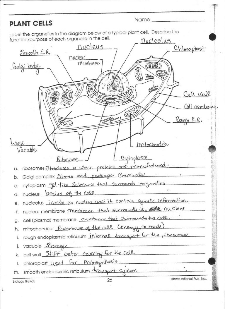 Animal And Plant Cell Worksheets Printable Plant Cell Coloring - Free ...