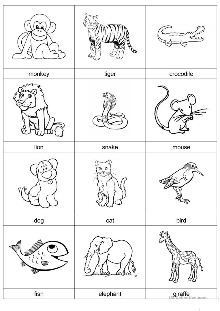 Animal Cards Worksheet - Free Esl Printable Worksheets Madeteachers - Free Printable Animal Cards