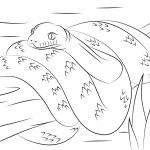 Australian Animals Coloring Pages | Free Printable Pictures   Free Printable Australian Animals