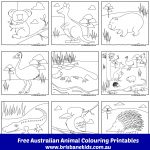 Australian Animals Colouring Pages | Australia | Pinterest   Free Printable Pictures Of Australian Animals