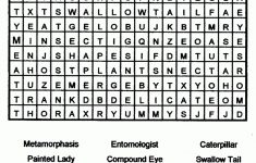Butterfly Word Search Printable – 17.13.hus-Noorderpad.de • – Free Printable Word Searches For Adults Large Print