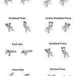 Chest Exercise Chart   Free Printable Gym Workout Routines