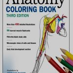 Coloring Pages : Coloring Pagesle Book Free Anatomy On Google   Free Printable Muscle Flashcards