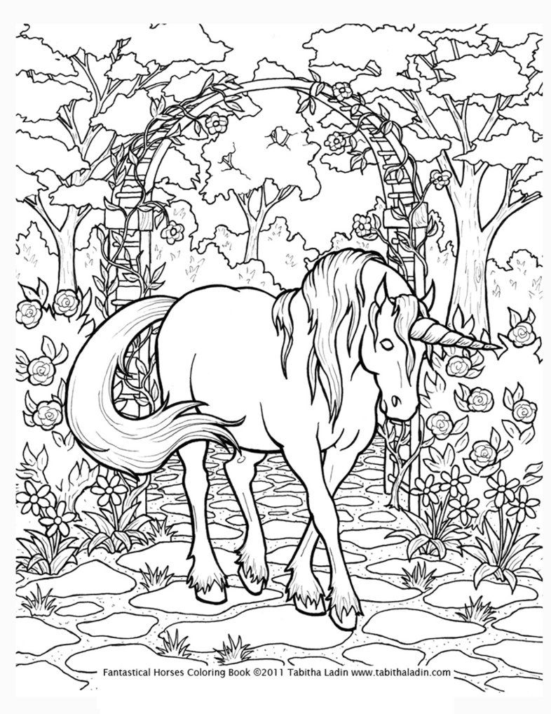 Coloring Pages For Adults Only | Unicorn Coloring Page*tablynn - Free Printable Unicorn Coloring Pages