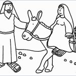 Coloring Pages : Free Printable Bible Coloring And Activityges   Free Printable Bible Christmas Coloring Pages