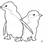 Coloring Pages : Penguin Coloring Sheet Outstanding Sheets For Kids   Free Printable Penguin Books