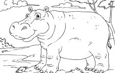 Colouring Pages Hippo Coloring Pages In Painting Free Coloring - Free Printable Hippo Coloring Pages