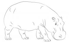 cute hippopotamus coloring page free printable coloring pages free printable hippo coloring pages Cute Hippopotamus Coloring Page | Free Printable Coloring Pages - Free Printable Hippo Coloring Pages