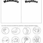 Day 32  Mammal And Reptiles Cut And Paste Worksheet | Preschool Josh   Free Printable Reptile Worksheets
