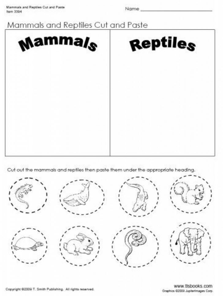 Day 32- Mammal And Reptiles Cut And Paste Worksheet | Preschool Josh