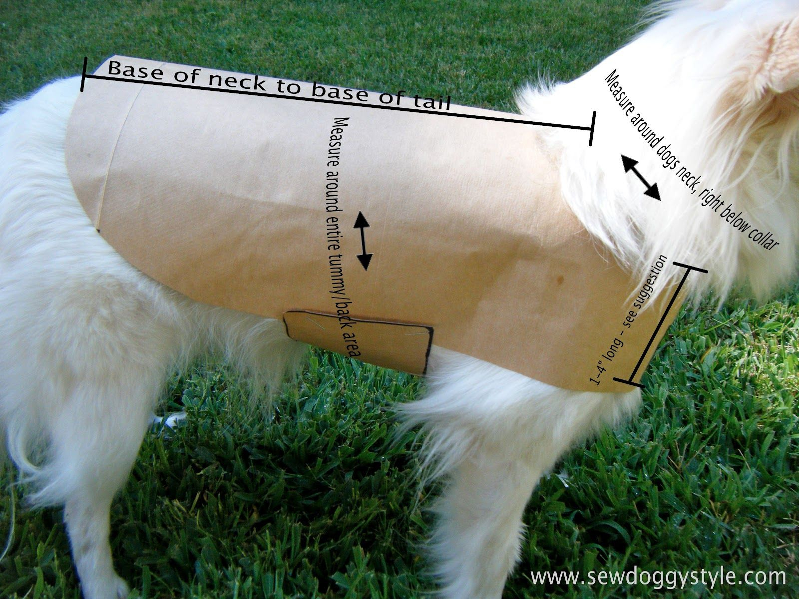 Drafting A Pet Coat Pattern - So Easy! | Crafts: Clever Crafts | Dog - Free Printable Sewing Patterns For Dog Clothes