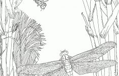 Dragonfly Coloring Pages | Free Coloring Pages - Free Printable Pictures Of Dragonflies
