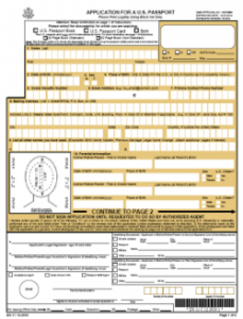 Print Passport Application Form Ds 11