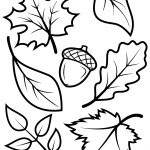 Fall Leaves And Acorn Coloring Page | Free Printable Coloring Pages   Acorn Template Free Printable