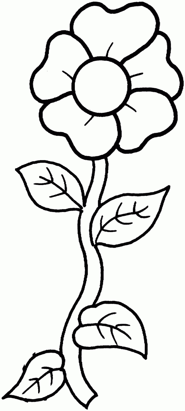 Flower Coloring Pages | To Do With My Boys | Pinterest | Flower - Free Printable Flowers
