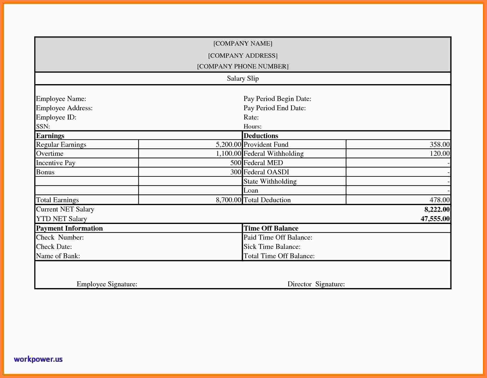 Blank Pay Stubs Template