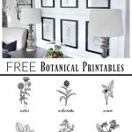 Free Botanical Prints | Bloggers' Best Diy Ideas | Dining Room   Free Black And White Printable Art