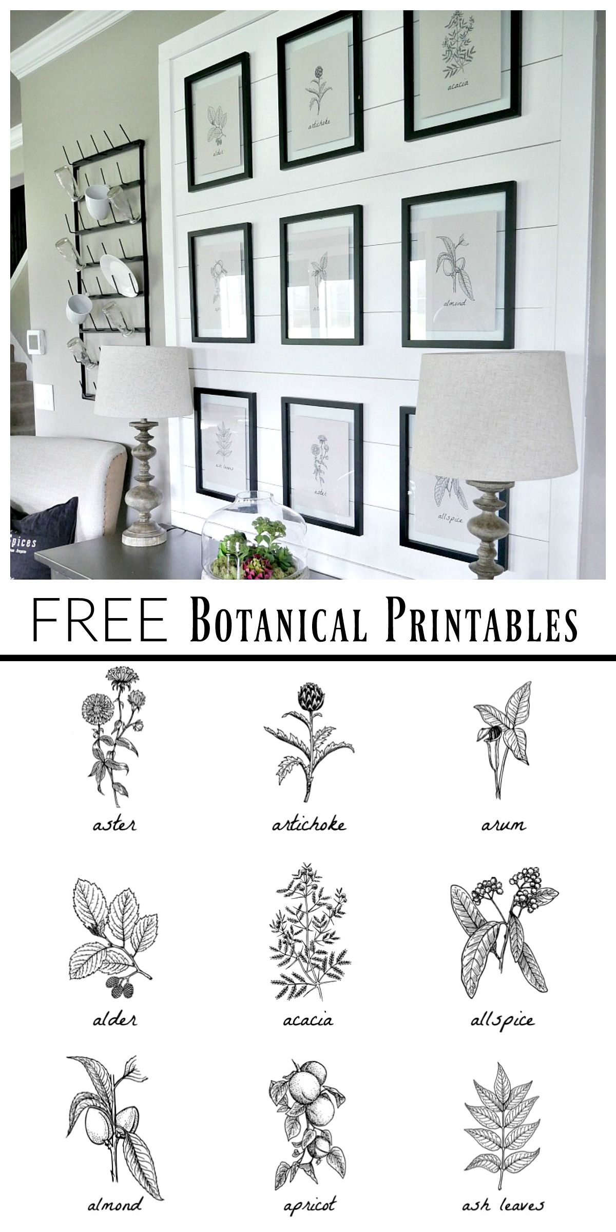 Free Botanical Prints | Bloggers&amp;#039; Best Diy Ideas | Dining Room - Free Black And White Printable Art