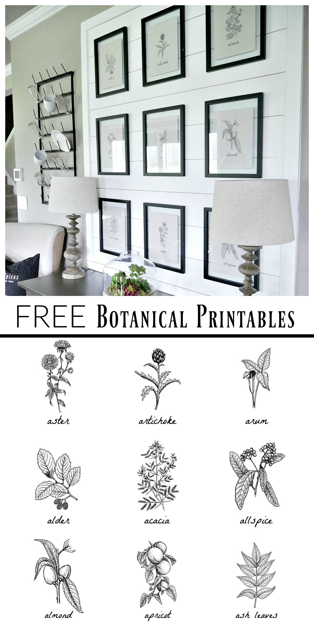 Free Botanical Prints | Bloggers&amp;#039; Best Diy Ideas | Diy Wall Art - Free Printable Artwork