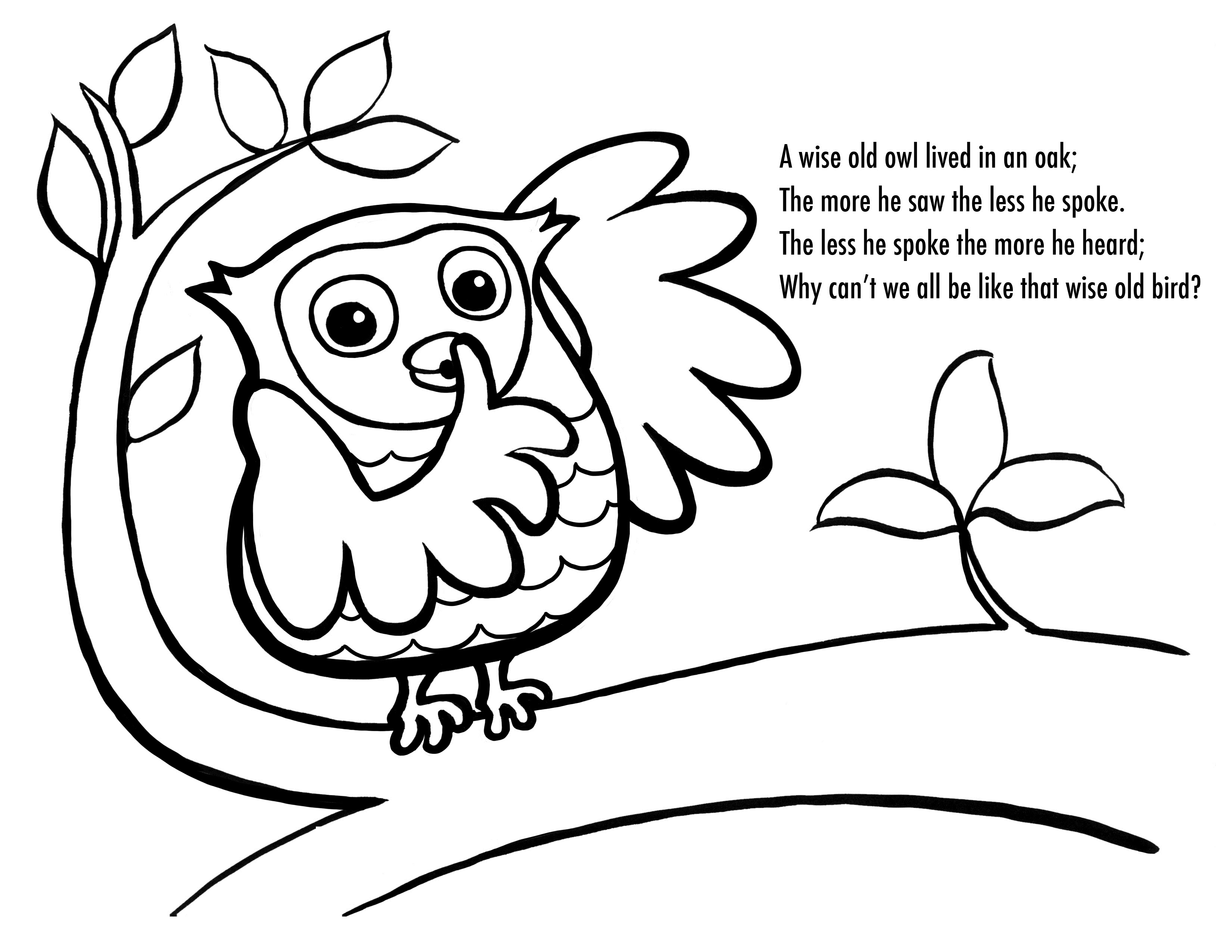 Free Cartoon Owl Coloring Pages, Download Free Clip Art, Free Clip - Free Printable Owl Coloring Sheets