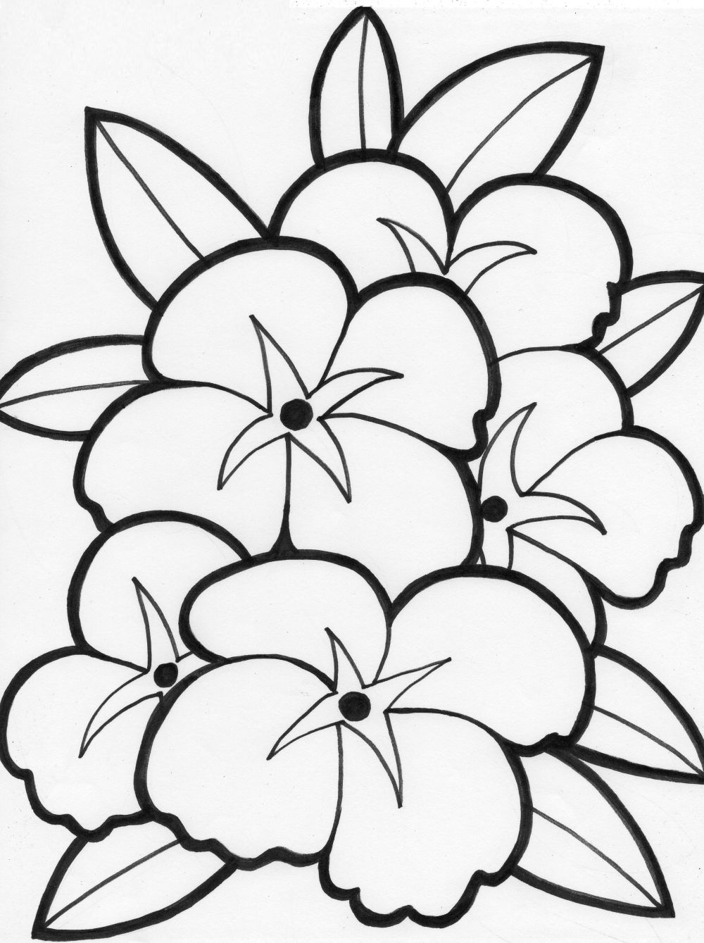 Free Coloring Pages | Free Flower Coloring Pages | Coloring Pages - Free Printable Flower Coloring Pages