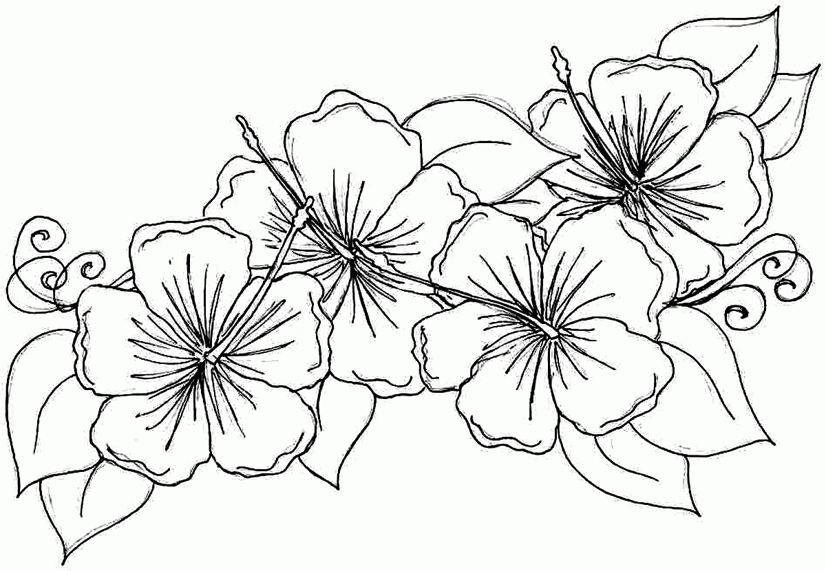 Free Coloring Pages Of Hibiscus Flowers - Coloring Home - Free Printable Hibiscus Coloring Pages
