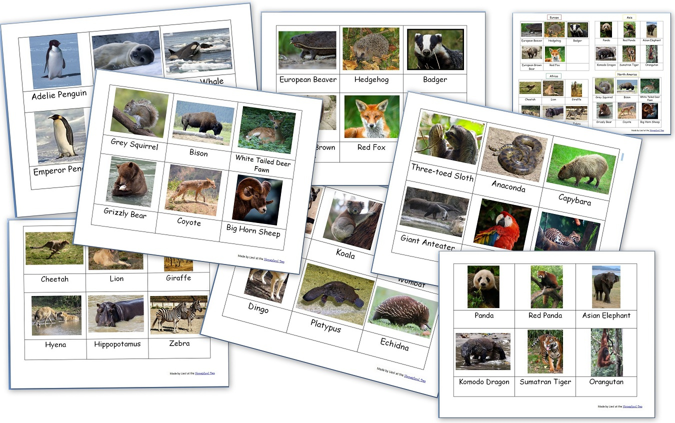 Free Montessori 3-Part Cards Archives - Homeschool Den - Free Printable Animal Classification Cards