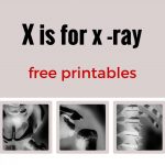 Free Printable Animal X Rays | Free Printable   Free Printable Animal X Rays