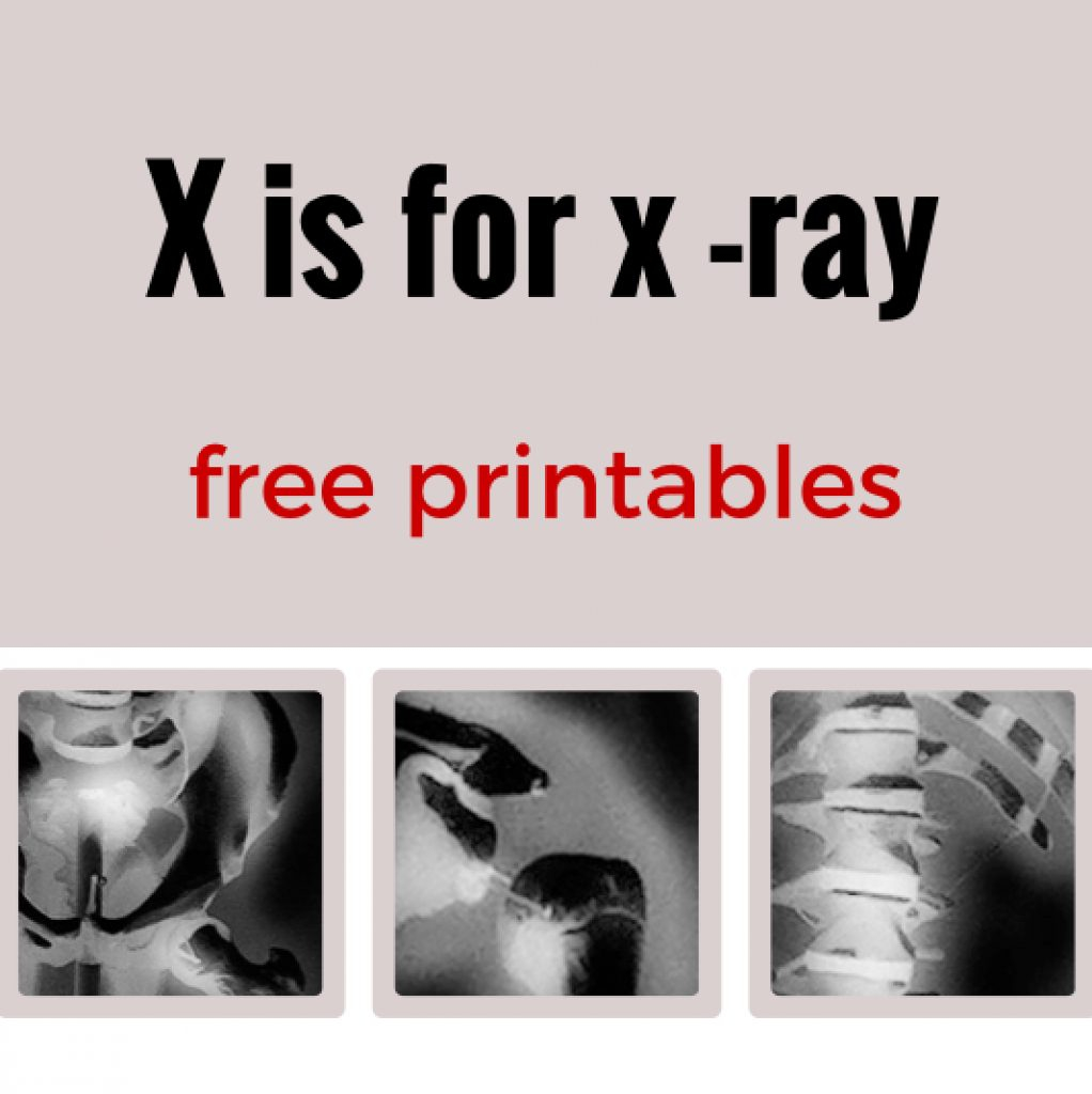 Free Printable Animal X Rays | Free Printable - Free Printable Animal X Rays