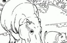 free printable hippo coloring pages for kids animals pinterest free printable hippo coloring pages Free Printable Hippo Coloring Pages For Kids | Animals | Pinterest - Free Printable Hippo Coloring Pages