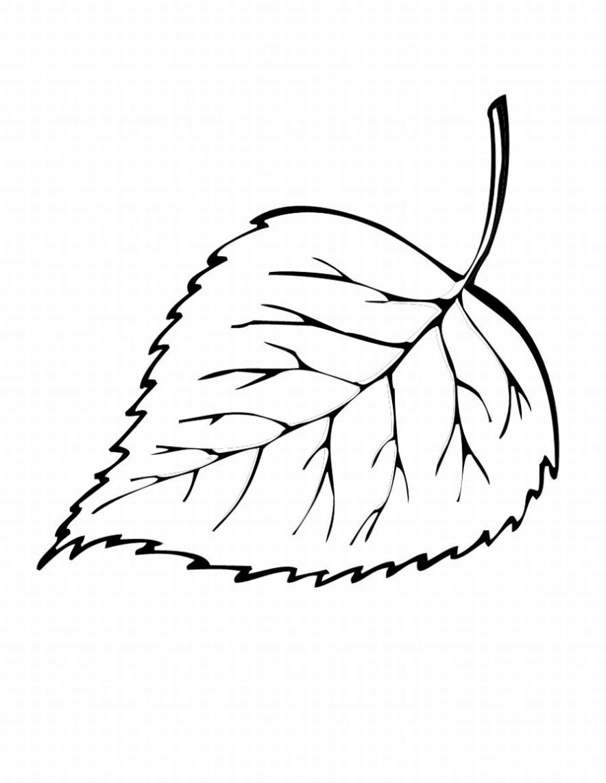 Free Printable Leaf Coloring Pages For Kids | ~*~ Coloring Pages - Free Printable Leaf Coloring Pages