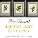 Free Printable Lemon Art   Free Printable Artwork To Frame