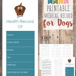 Free Printable Medical Record For Dogs   Tastefully Eclectic   Free Printable Pet Health Record