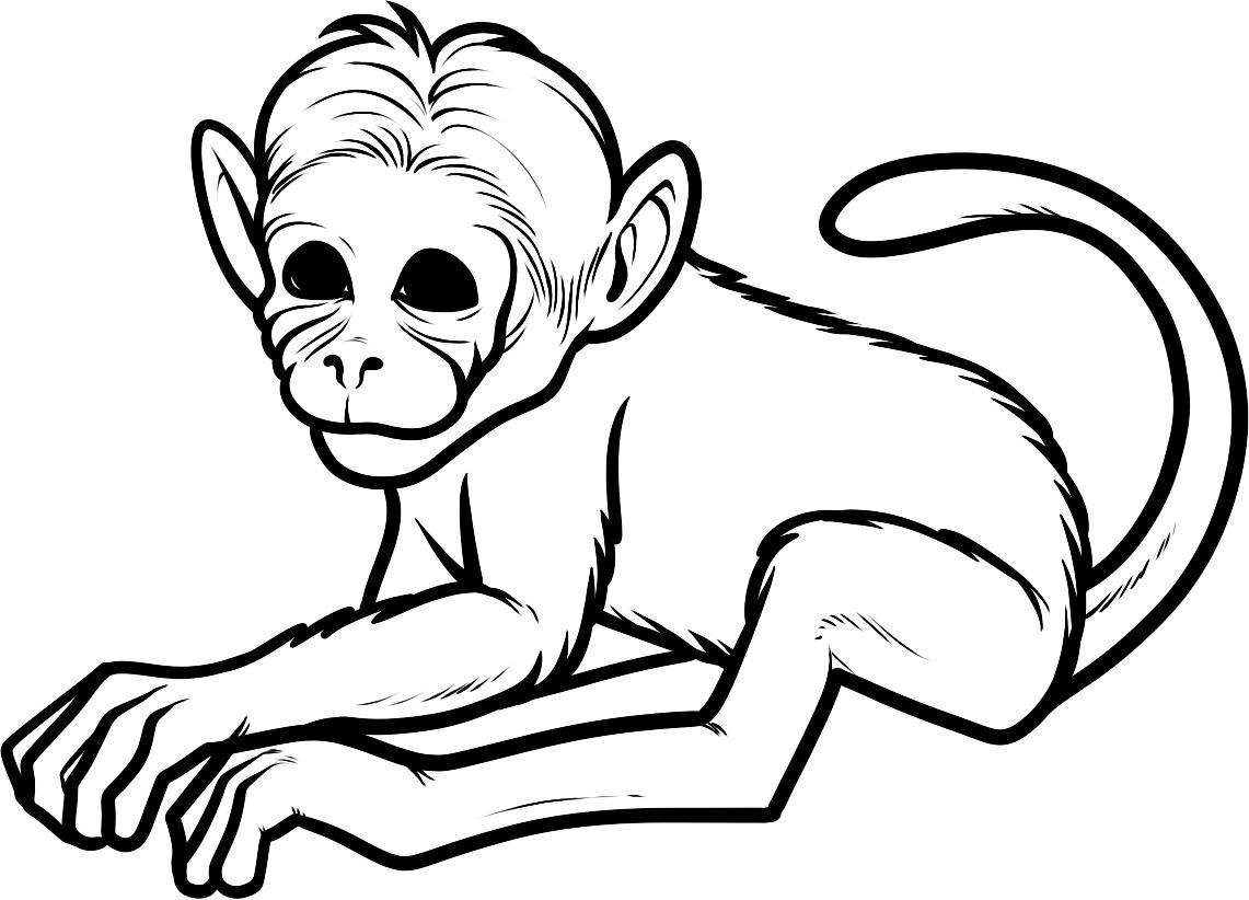Free Printable Monkey Coloring Pages For Kids - Clip Art Library - Free Printable Monkey Coloring Pages
