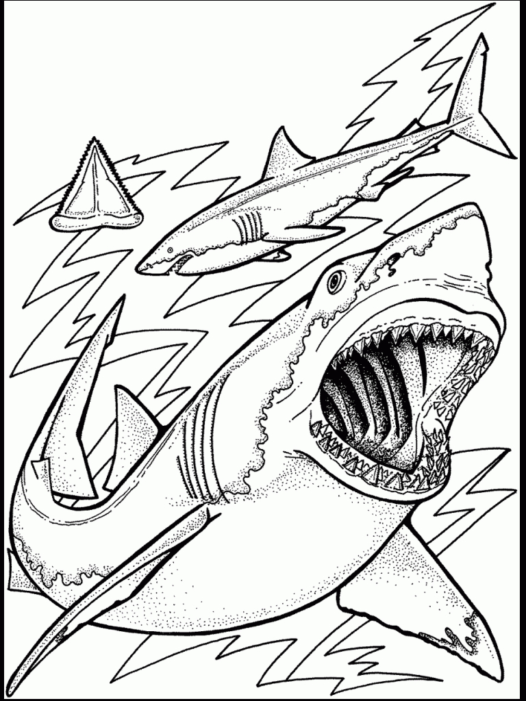 Free Printable Ocean Coloring Pages For Kids | Ocean Unit - Free Printable Great White Shark Coloring Pages