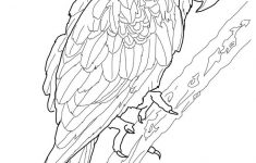 Free Printable Parrot Coloring Pages For Kids | Ahhhhh.. | Bird - Free Printable Parrot Coloring Pages