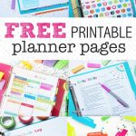 Free Printable Planners 2017   1.11.hus Noorderpad.de •   Free Printable Agenda 2017