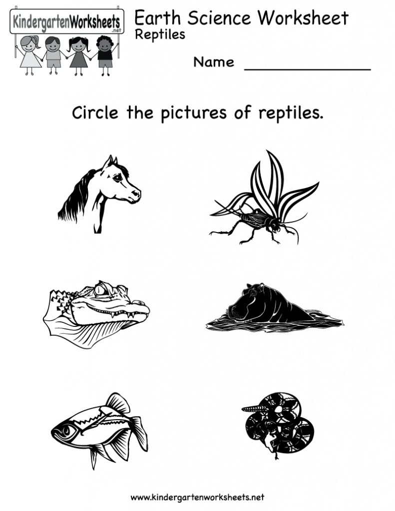 Free Printable Science Worksheets For Kindergarten To Free - Math ...