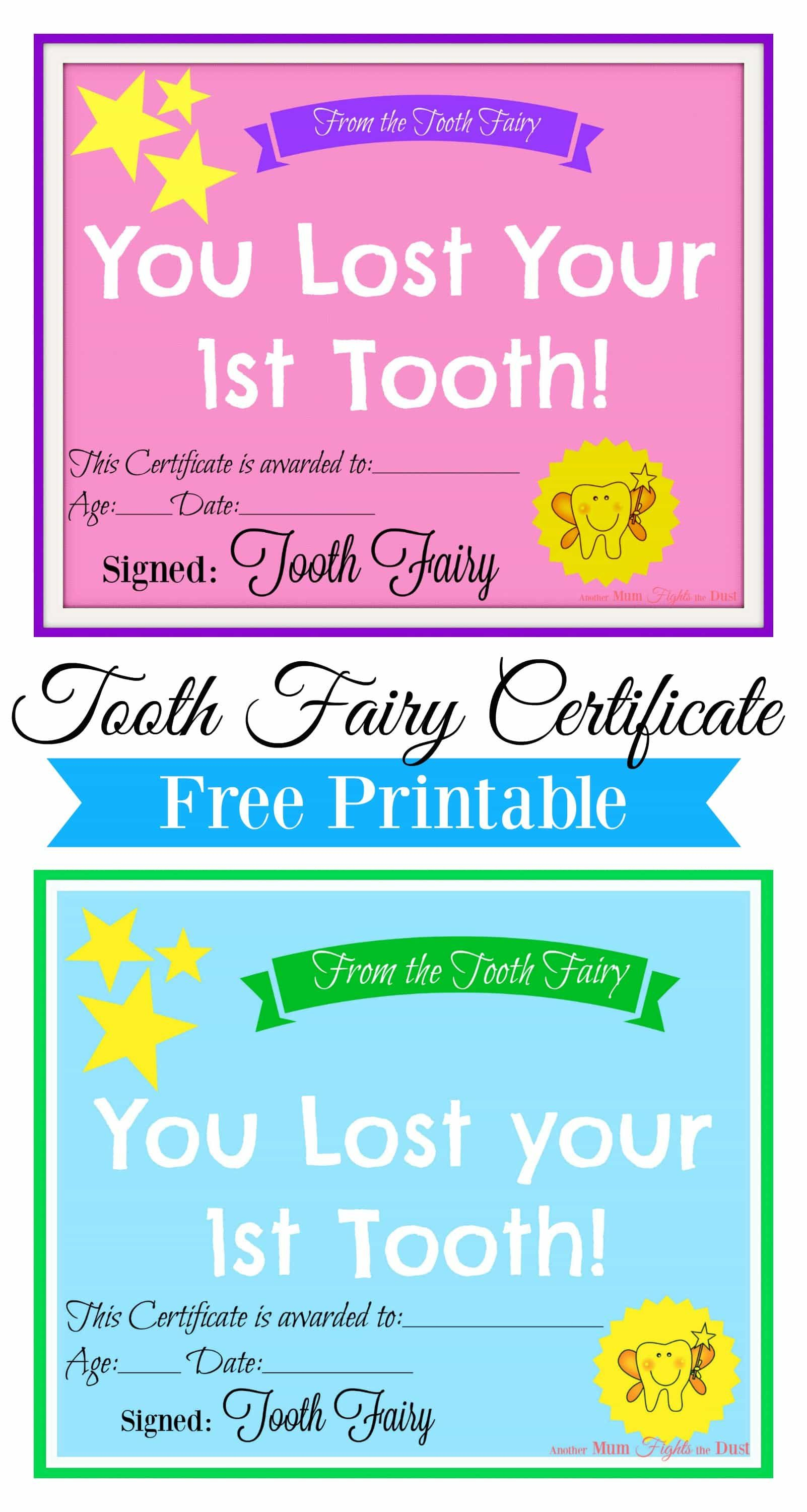 Free Printable Tooth Fairy Certificate | Tooth Fairy Ideas | Tooth - Tooth Fairy Stationery Free Printable