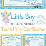 Free Printable Tooth Fairy Certificates | Fabnfree // Freebie Group   Tooth Fairy Stationery Free Printable