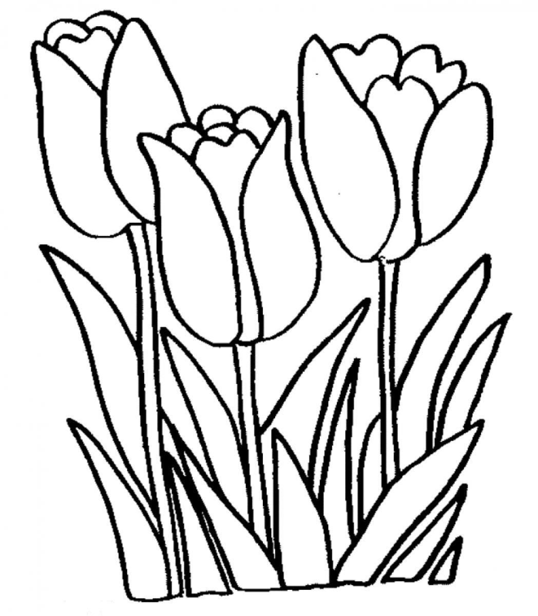 Free Tulip Coloring Pages With Printable Tulip Coloring Pages For - Free Printable Tulip Coloring Pages